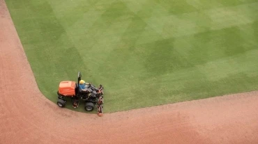 Jacobsen SLF530 baseball