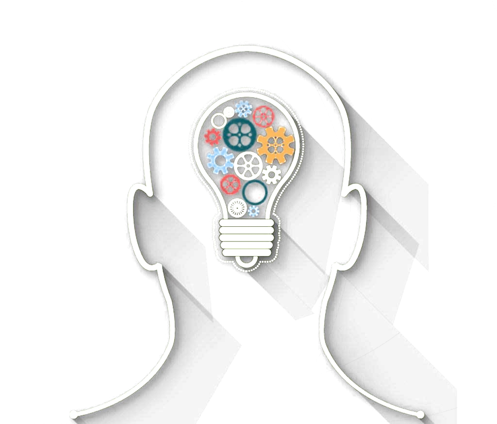 Brain